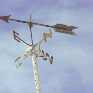 Comment impulser un changement en famille ?<p style="font-size:14px; text-align:right; line-height:18px">Les 16/01 et 27/01/2025 de 09h30 à 16h30 à Namur</p>