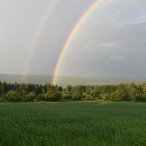 Après la crise vient le beau temps ? Equipes en crise : comment s’en prémunir, comment en sortir<p style="font-size:14px; text-align:right; line-height:18px">Les 24/09, 28/09 et 09/10/2026 de 09h30 à 16h30 à Namur</p>