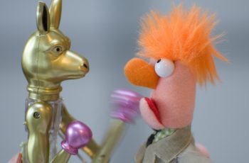 Photo par Frank Busch dog kangaroo toy