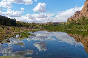 Photo par MXI Art green grass field near lake under blue sky and white clouds during daytime